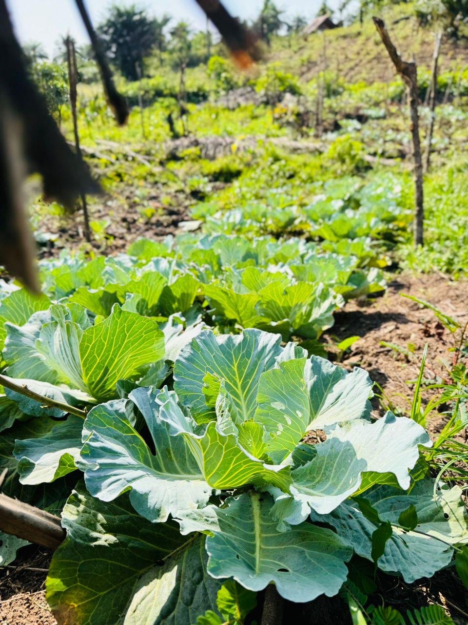 photo_2026-03-19_02-35-22