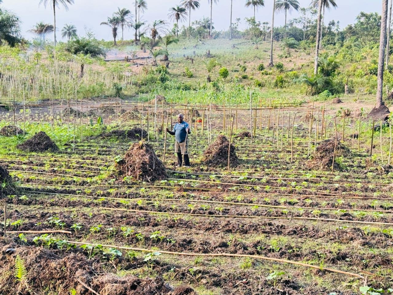 photo_2026-04-02_00-08-00