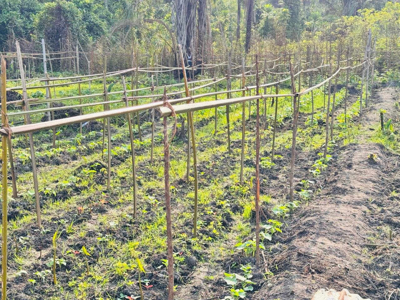 photo_2026-04-02_00-11-56